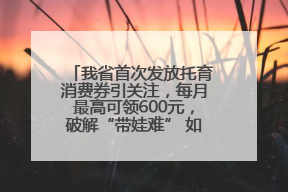 我省首次发放托育消费券引关注，每月最高可领600元，破解“带娃难” 如何不负所“托”？